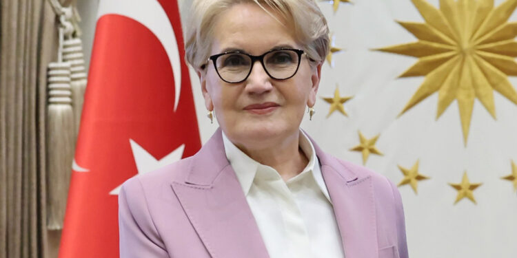 Akşener’den İyi Parti’ye “Fotoğraflarımı indirin!” yazısı!