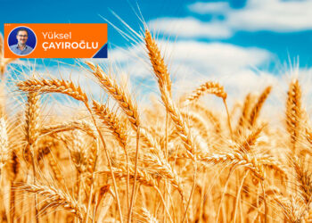 Allah’a saygının gereği; sebeplere riayet (11)