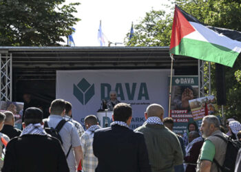 Almanya'da DAVA VE BIG, AP'de milletvekili çıkaramadı