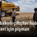 Diyarbakırlı çiftçiler hububat ektikleri için pişman  