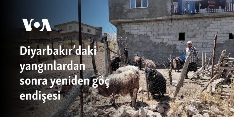 Diyarbakır’daki yangınlardan sonra yeniden göç endişesi