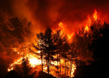 CHP'den iktidara orman yangınlarına karşı iş birliği çağrısı!