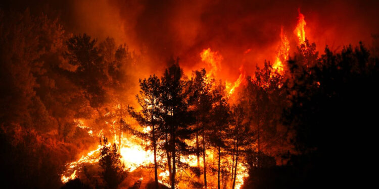 CHP'den iktidara orman yangınlarına karşı iş birliği çağrısı!