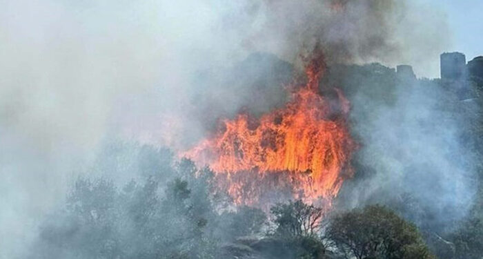 Çanakkale’de yangın: Antik kente sıçradı!