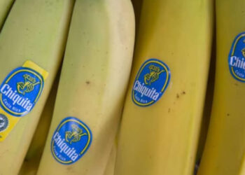 Chiquita muz şirketi, Kolombiya'da paramiliterlere maddi yardımdan suçlu bulundu