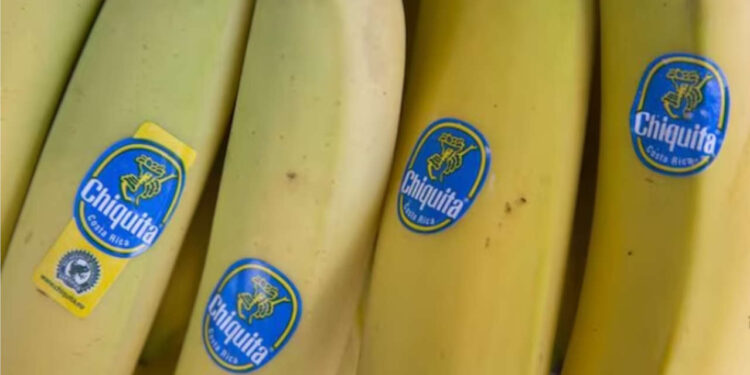 Chiquita muz şirketi, Kolombiya'da paramiliterlere maddi yardımdan suçlu bulundu