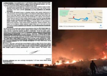 DEDAŞ kusurlu bulundu, köylüye tazminat ödendi