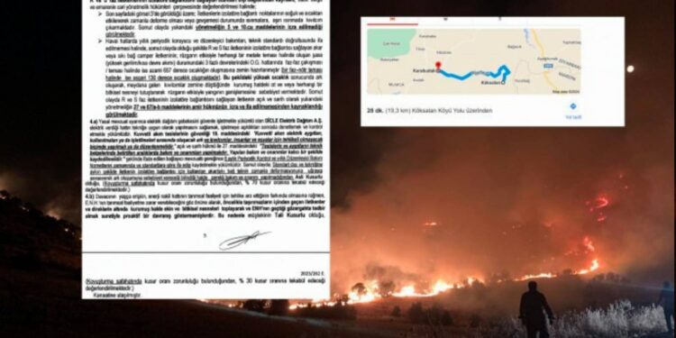 DEDAŞ kusurlu bulundu, köylüye tazminat ödendi