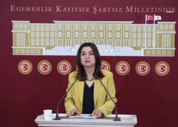 DEM Parti’den Diyarbakır ve Mardin’deki yangına ilişkin açıklama: DEDAŞ’la nasıl bir ilişkiniz var?