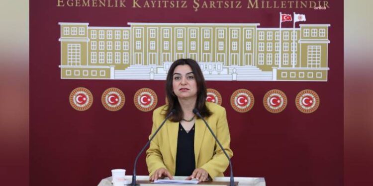 DEM Parti’den Diyarbakır ve Mardin’deki yangına ilişkin açıklama: DEDAŞ’la nasıl bir ilişkiniz var?