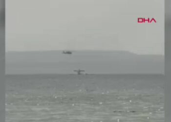 Didim'deki yangına müdahale eden uçak Bafa Gölü'ne sert iniş yaptı