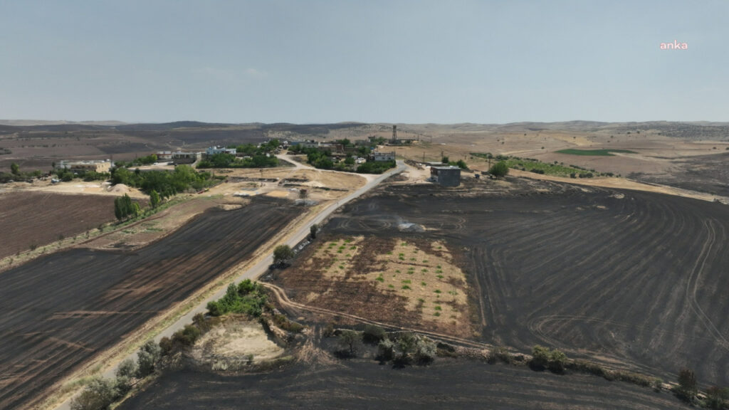 Diyarbakır-Mardin arasındaki yangın... Mardin Tabip Odası ön raporu açıkladı