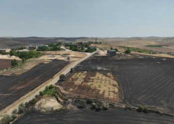 Diyarbakır-Mardin arasındaki yangın... Mardin Tabip Odası ön raporu açıkladı