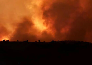 Diyarbakır ve Mardin’de anız yangını faciası: Ölü sayısı 11’e yükseldi