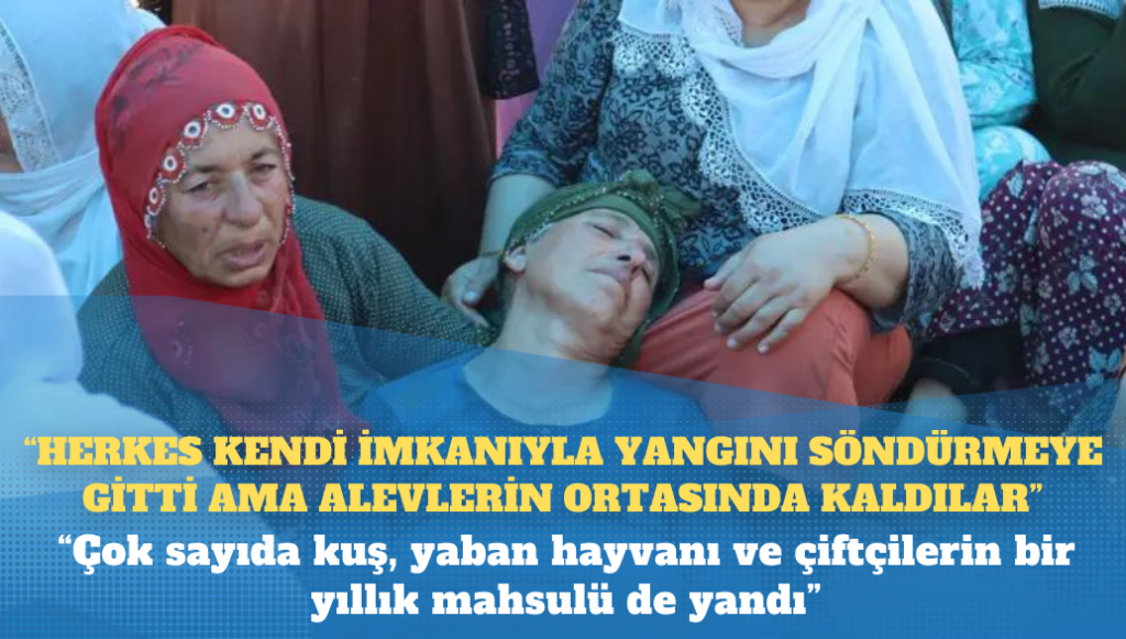 Diyarbakır ve Mardin’de yangın: ‘Herkes kendi imkanıyla yangını söndürmeye gitti ama alevlerin ortasında kaldılar’