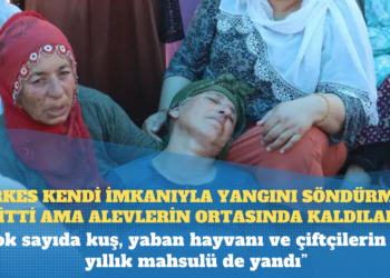 Diyarbakır ve Mardin’de yangın: ‘Herkes kendi imkanıyla yangını söndürmeye gitti ama alevlerin ortasında kaldılar’