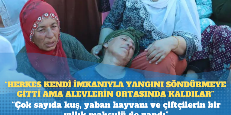 Diyarbakır ve Mardin’de yangın: ‘Herkes kendi imkanıyla yangını söndürmeye gitti ama alevlerin ortasında kaldılar’