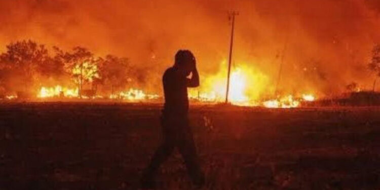 Elektrik Mühendisleri Odası: Bölgede anız yok, elektrik direklerinin etrafında yangına karşı önlem alınmamış