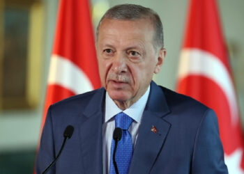 Erdoğan, sokak hayvanları kararını verdi: Düzenlemede neler yer alacak?