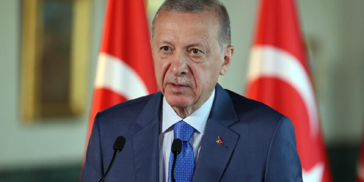 Erdoğan, sokak hayvanları kararını verdi: Düzenlemede neler yer alacak?