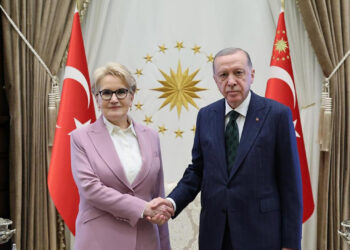 Eski İYİ Parti lideri Akşener'den açıklama: Oğlu ile ilgili iddiayı yanıtsız bıraktı