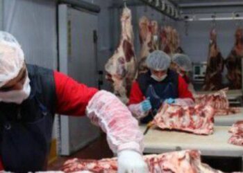 Et sektöründe yaşanan kasap sıkıntısı büyüyor