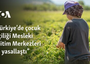 “Türkiye’de çocuk işçiliği Mesleki Eğitim Merkezleri ile yasallaştı”