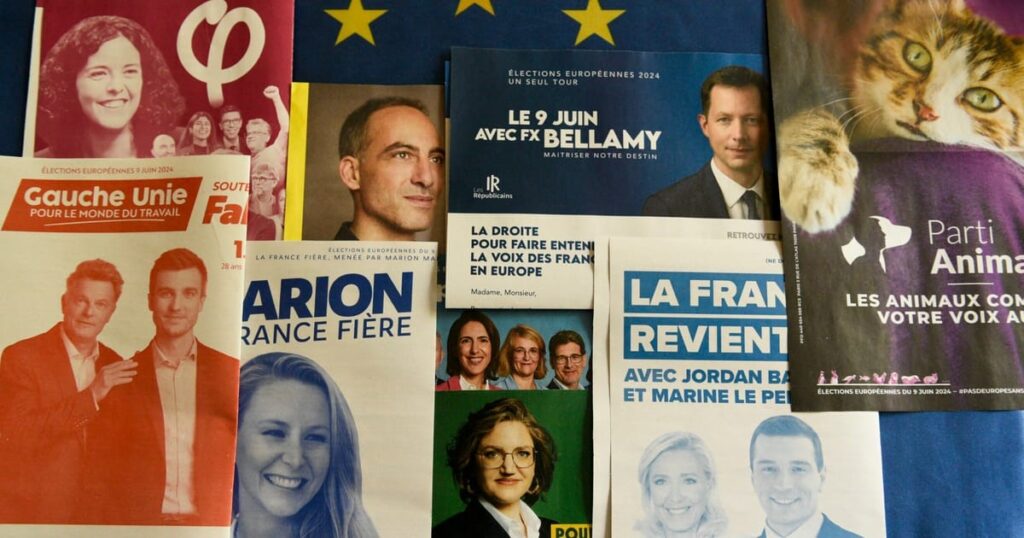 Fransa’da anketlere göre aşırı sağ ilk turda yüzde 33-35