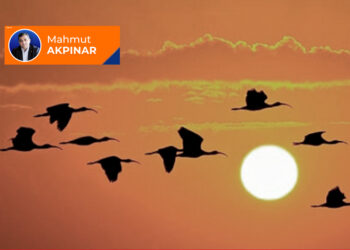 Gurbet ikliminde dayanışma (solidarity)