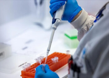 DSÖ teyit etti: İlk kez bir kişi A(H5N2) tipi kuş gribinden öldü