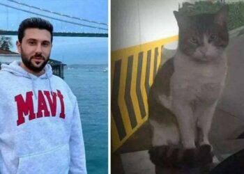 İstinaftan kedi "Eros"u katleden İbrahim Keloğlan'a verilen 2 yıl 6 aylık cezaya onama