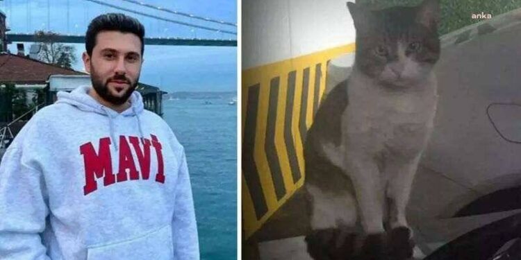 İstinaftan kedi "Eros"u katleden İbrahim Keloğlan'a verilen 2 yıl 6 aylık cezaya onama