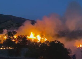 İzmir'de zeytinlik alanda çıkan yangın kontrol altında