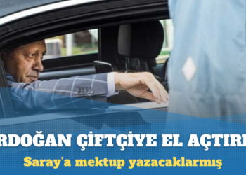 Ziraat Odası’ndan buğday fiyatı tepkisi: Erdoğan’a mektup gönderecekler
