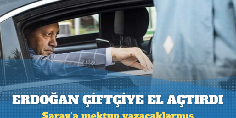 Ziraat Odası’ndan buğday fiyatı tepkisi: Erdoğan’a mektup gönderecekler