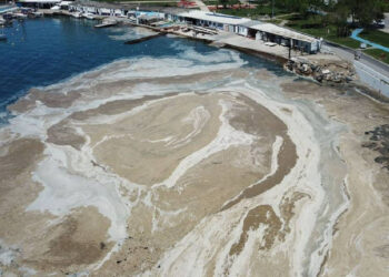 Marmara'da Müsilaj tehlikesi: Balık çeşitliliğinin 4'te 1'i azaldı