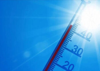 Meksika'da aşırı sıcaklardan ölenlerin sayısı 155'e yükseldi