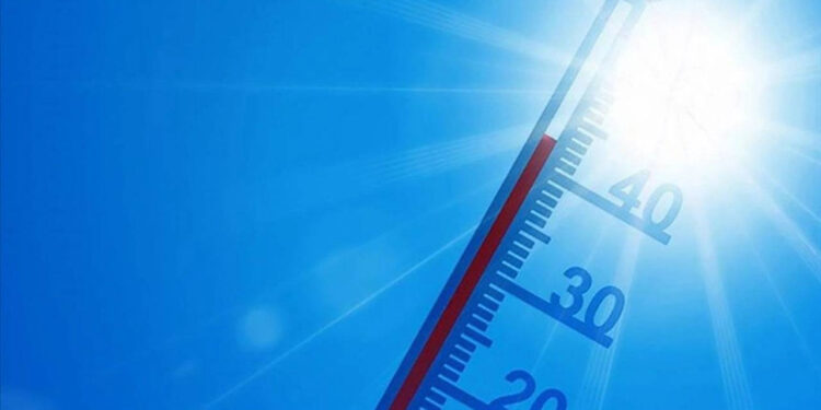 Meksika'da aşırı sıcaklardan ölenlerin sayısı 155'e yükseldi