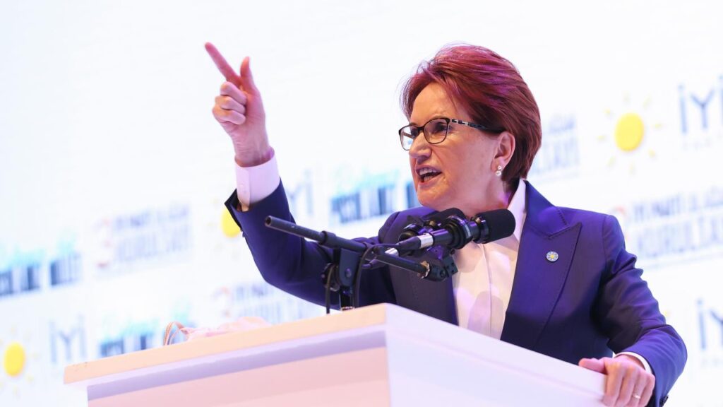 Meral Akşener, partideki fotoğraflarının indirilmesini talep etti