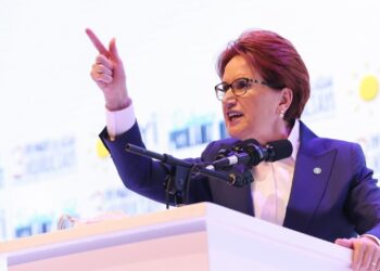 Meral Akşener, partideki fotoğraflarının indirilmesini talep etti
