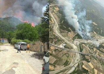 Muğla’da iki orman yangını! Evlere ulaştı