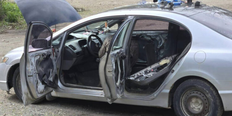 Otomobile giren ayı koltukları parçaladı