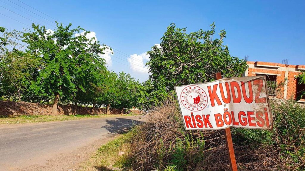 Şanlıurfa'da kuduz karantinası