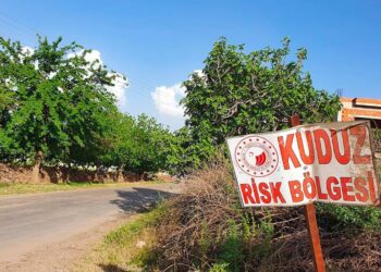 Şanlıurfa'da kuduz karantinası