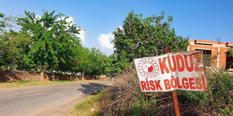 Şanlıurfa'da kuduz karantinası