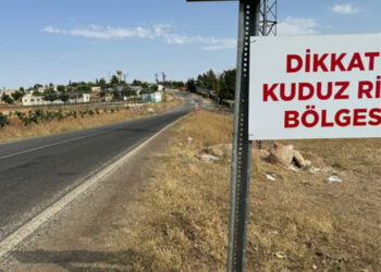 Şanlıurfa'da kuduz paniği: 2 mahalle karantinaya alındı