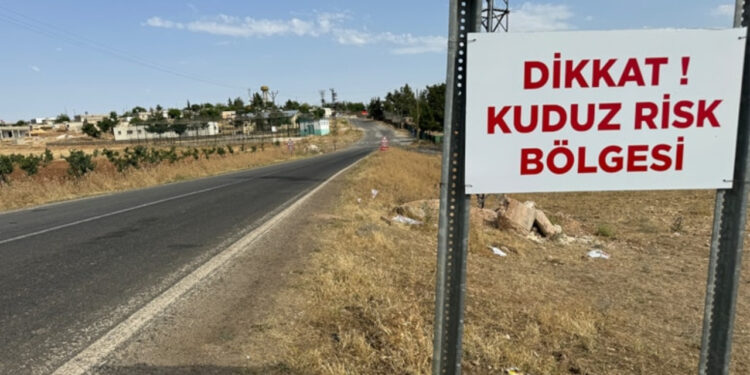 Şanlıurfa'da kuduz paniği: 2 mahalle karantinaya alındı