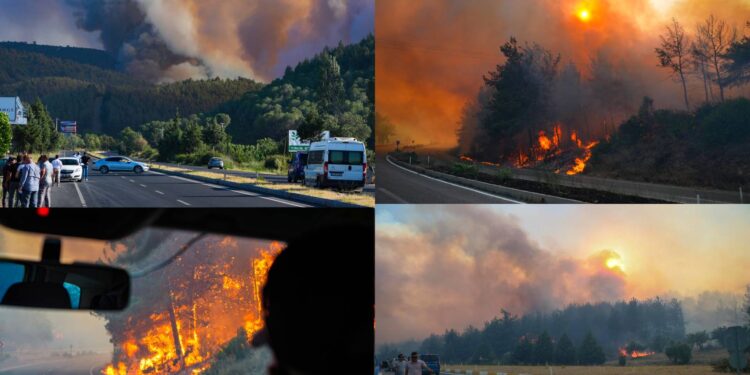 Selçuk-Kuşadası yolu kapatıldı, evler, oteller ve barınaklar boşaltıldı; Çeşme'deki hobi bahçesinden çıkan yangına ilişkin gözaltı var