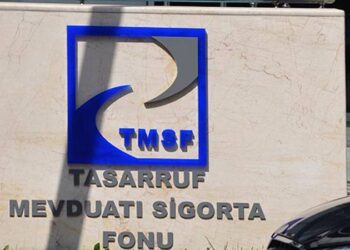 TMSF, üç şirketi satışa çıkardı: Resmi Gazete'de yayımlandı