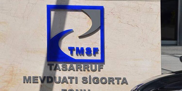 TMSF, üç şirketi satışa çıkardı: Resmi Gazete'de yayımlandı